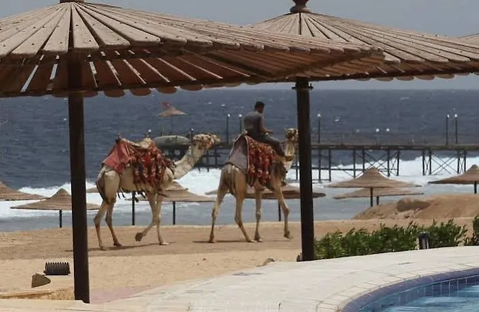 Life Marsa Alam Kuszeir